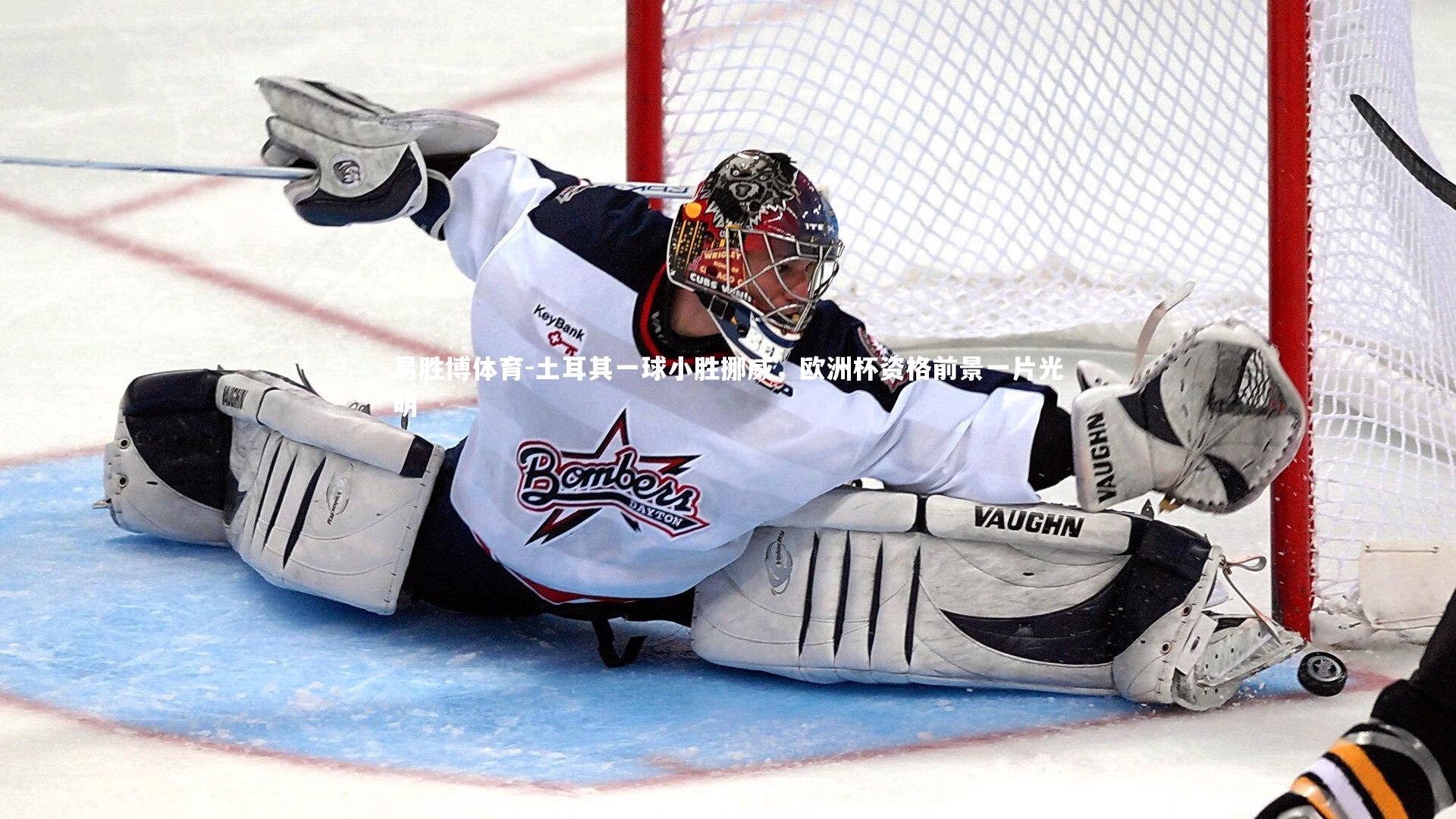 土耳其一球小胜挪威,欧洲杯资格前景一片光明