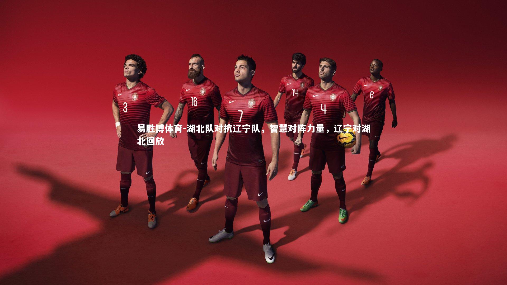 湖北队对抗辽宁队,智慧对阵力量,辽宁对湖北回放