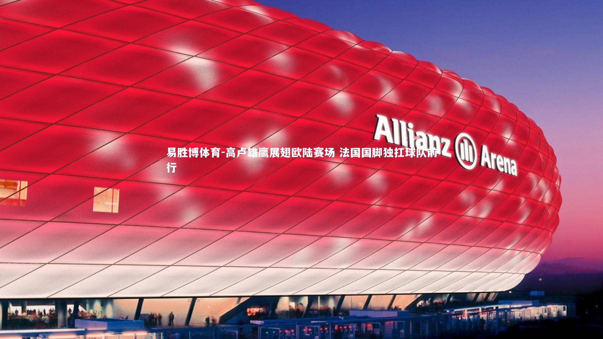 高卢雄鹰展翅欧陆赛场 法国国脚独扛球队前行