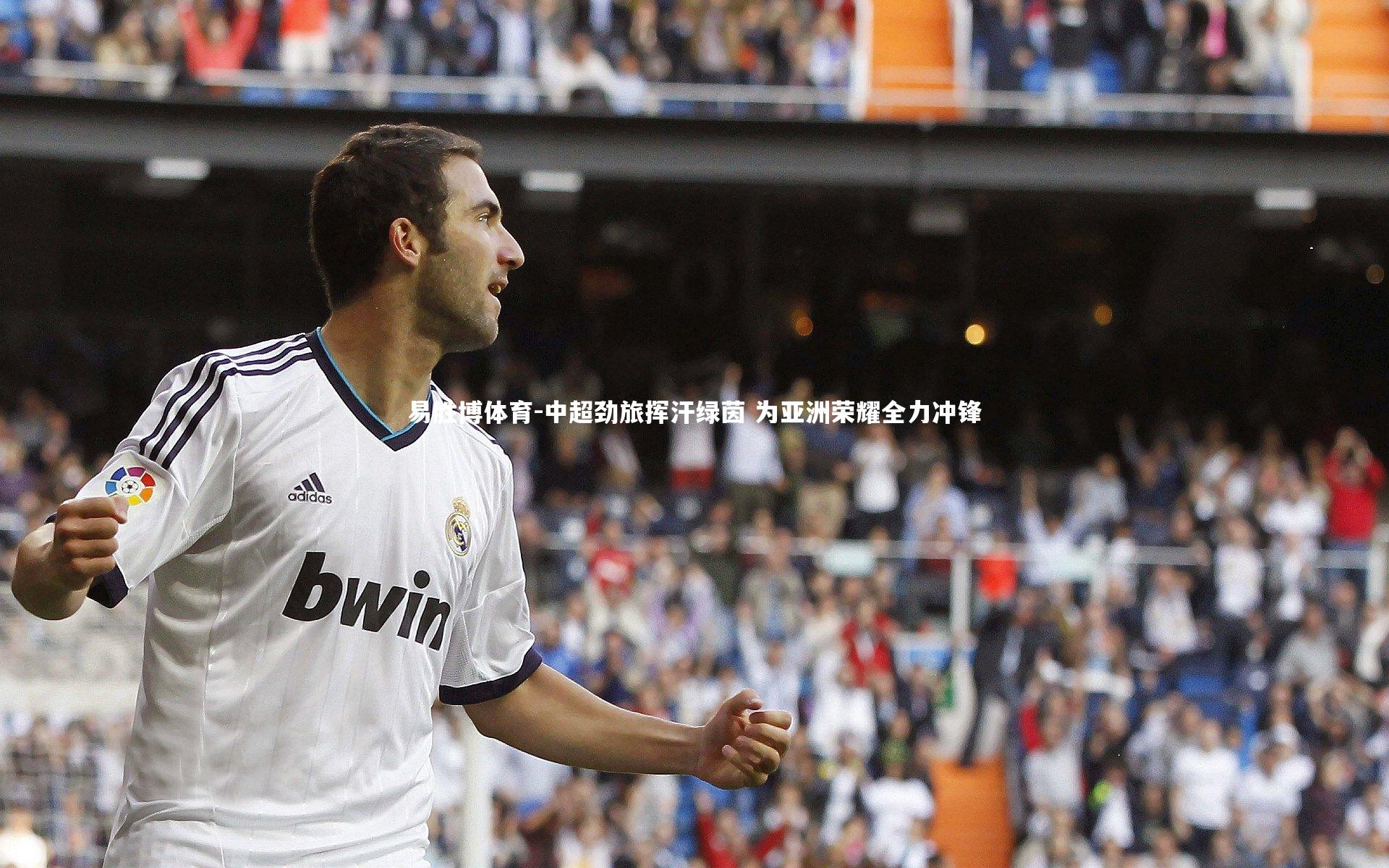 中超劲旅挥汗绿茵 为亚洲荣耀全力冲锋